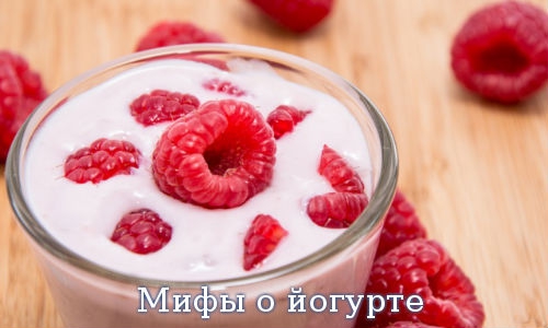 Мифы о йогурте